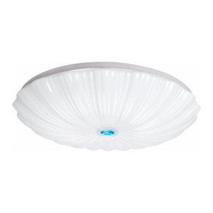 Ceiling Lights